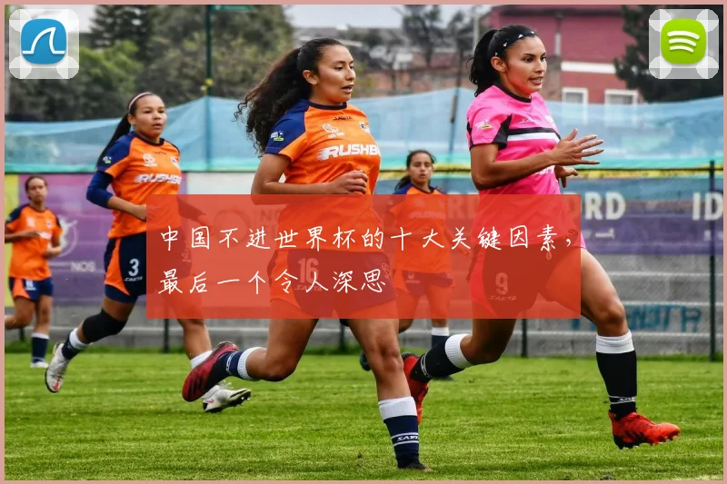 中国不进世界杯的十大关键因素,最后一个令人深思