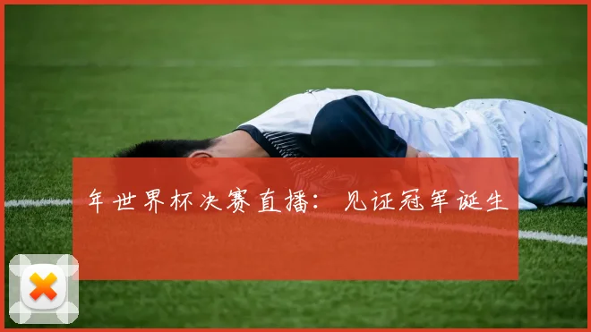 年世界杯决赛直播：见证冠军诞生